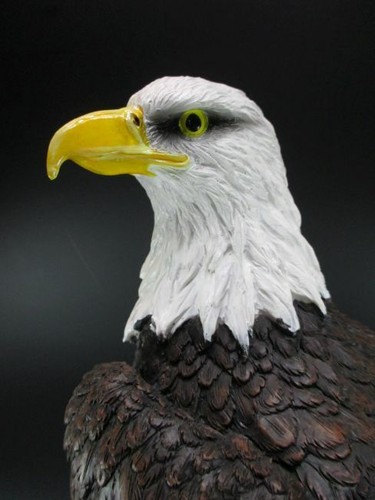 Weisskopfseeadler Adler Eagle Auf Fels 48 Cm Vogel Tierfigur Poly Super