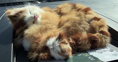Vintage Cat Figurines -Real Rabbit Fur