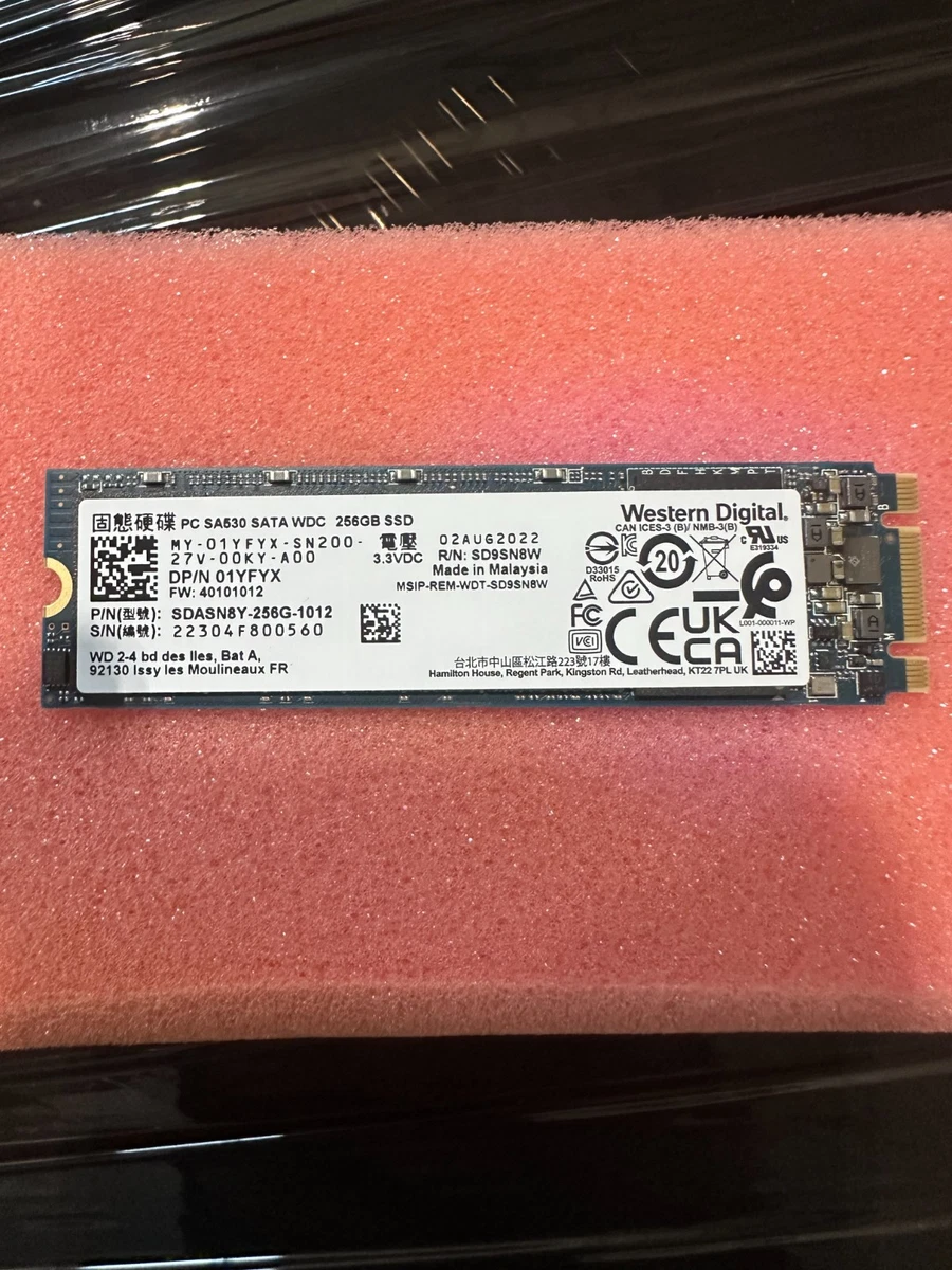 25+ Western Digital 256 GB Solid State Drives for sale | Updated