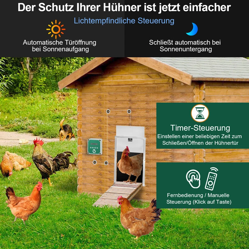 Bild 6 von 11