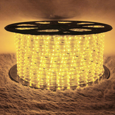 50' 100' 150' 300' Ft Waterproof LED Rope Light 110V Garden In/Outdoor Lighting