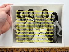 1990s Music Group Pharaoh Egyptian Women Vintage King Tut ? 