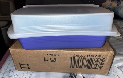 Tupperware Four Seasons Lunch Box Blau