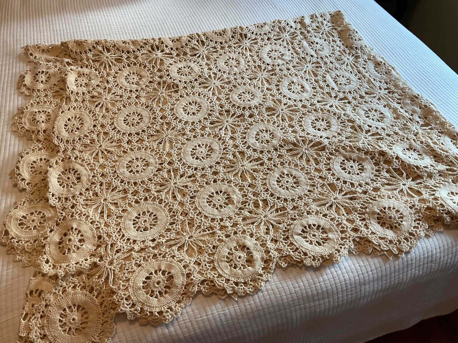 Picture 4 of 5