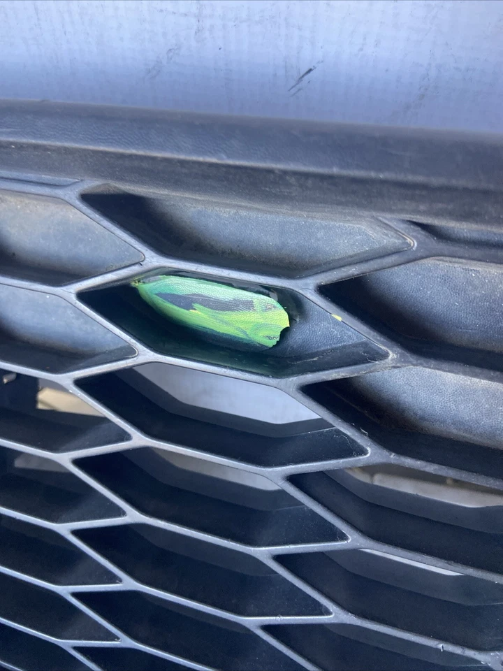 Ford Mustang 2005-2009 parrilla central con faros antiniebla y emblema OEM Foto 4 de 4