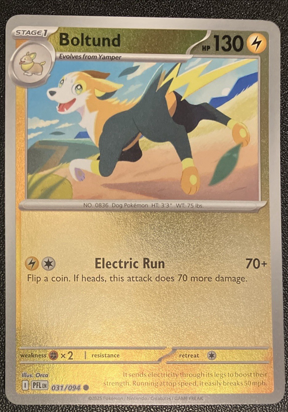 Pokemon TCG Card Boltund 031/094 Reverse Holo Common PFL NM Phantasmal Flames