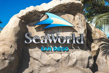 Sea World SeaWorld San Diego Tickets
