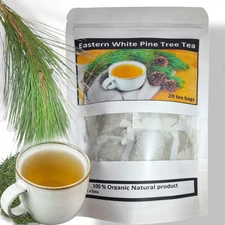 20 Eastern White Pine Needle Tea Bags Organic Wild Suramin Immunity Boosting*