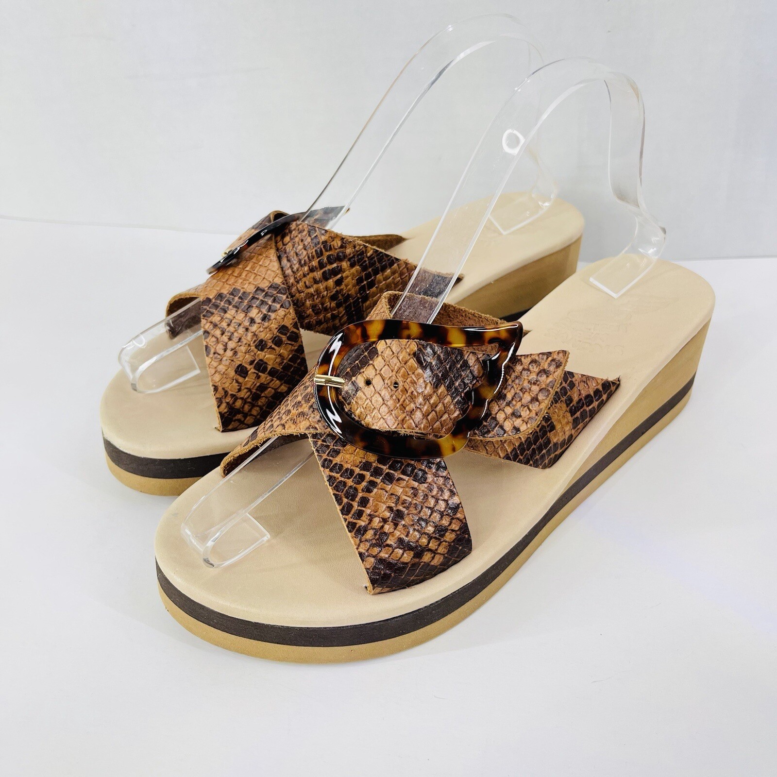 Ancient Greek Brown Thai Python Rainbow Tampa Wed… - image 1