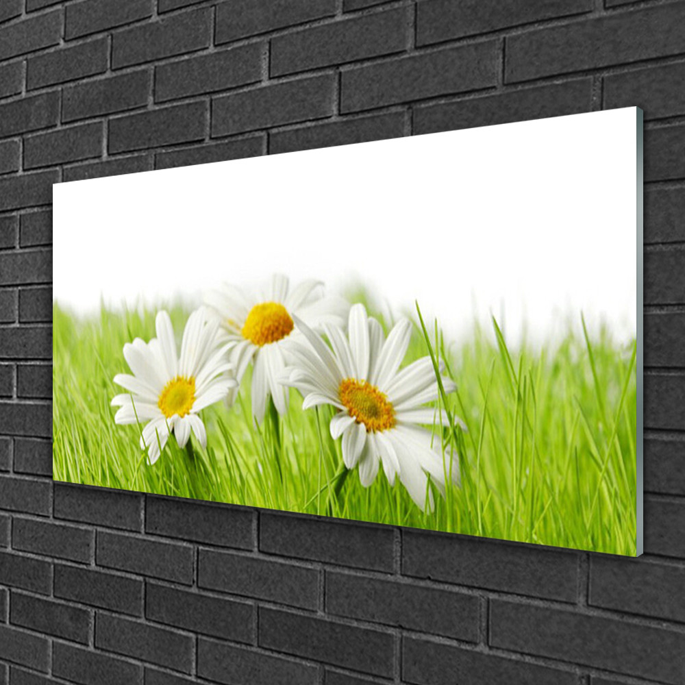 Tableau sur verre marguerite 100x50 anti-humidite pour decoration cuisine et salle de bain