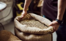 Jutesack Juchtes&auml;cke 60 x 110 cm f&uuml;r ca. 50 kg Kartoffelsack Getreides&auml;cke NEU