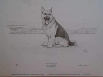 Deutscher Schäferhund Druck von Stephen Mead 11,1/2x9 Zoll Limitierte Auflage Neu 