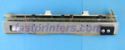 TallyGenicom 085506 ~ Tallygenicom Hammer Bank 6312 ROHS Compliant