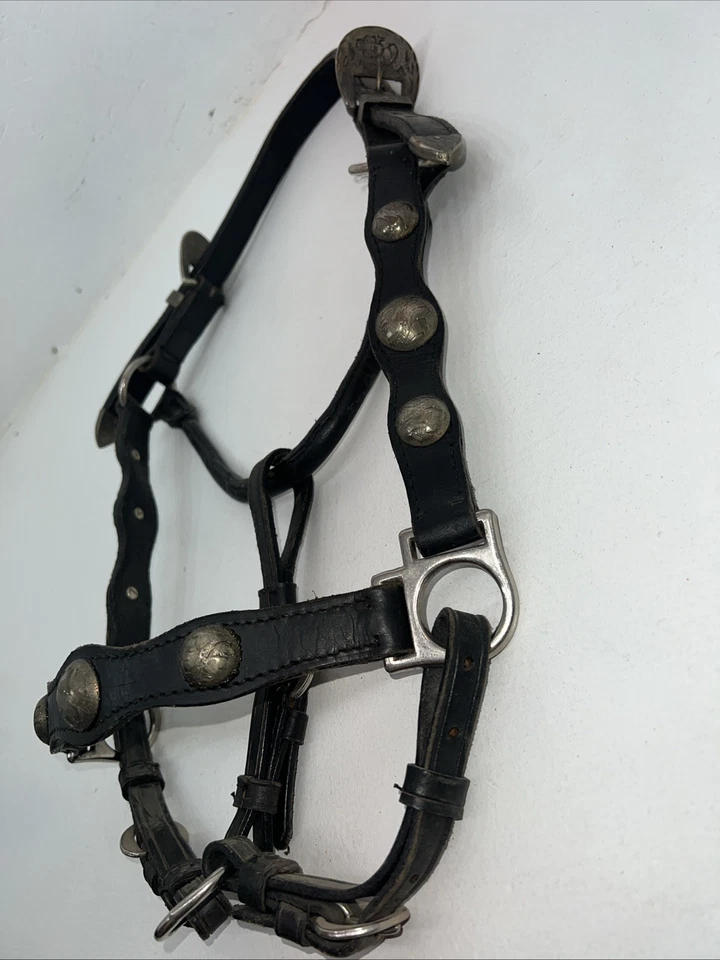 New Black Leather Full Horse Show Halter Gold accents 3C-15 - Image 3 of 4