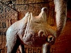 🔥OLD CAST IRON CAMEL BANK  ~ 4”x4.5”🔥 — photo 4