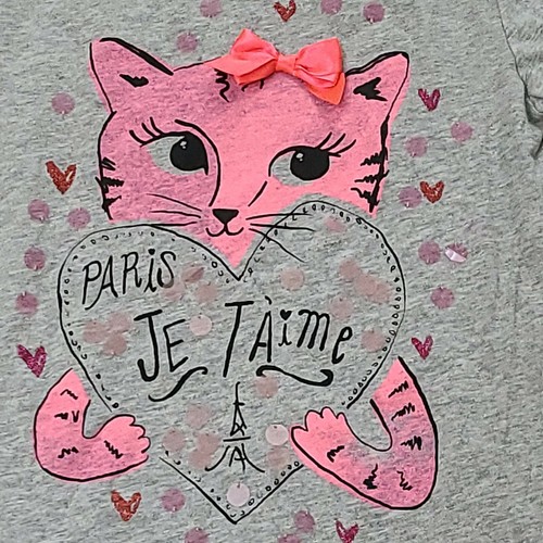 Gap Kids Shirt Pink Paris LOVE Cat 100% Cotton Long Sleeve Top girls Size XL 12 - Picture 2 of 3