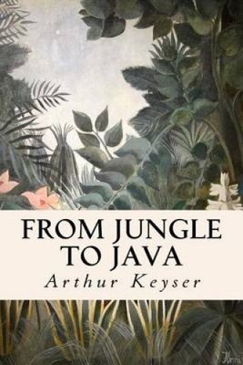 From Jungle to Java: The Trivial Impressions of a Short Excursion to