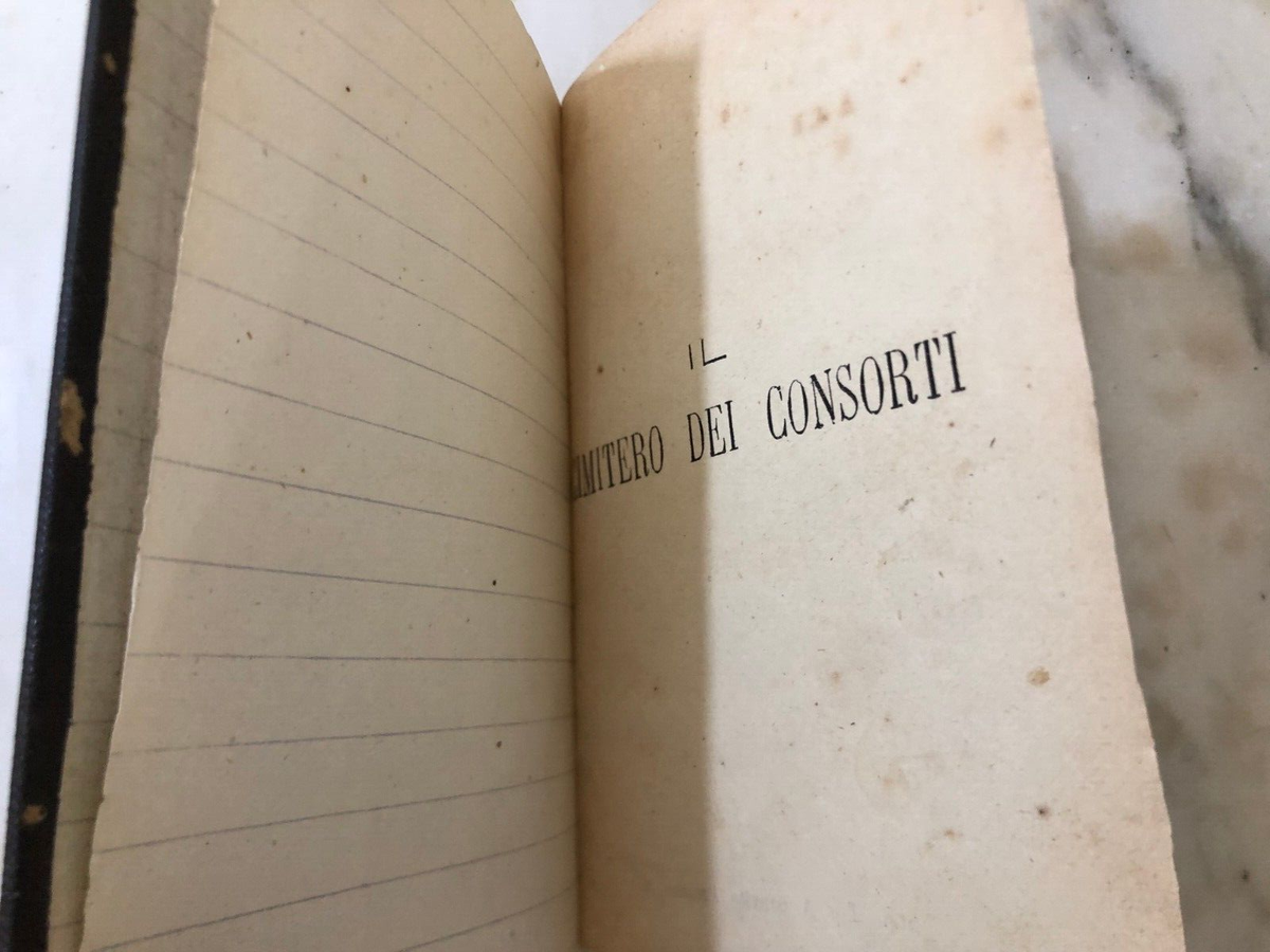 Antico Libro Tito Zanardelli Il cimitero dei consorti 1872 e