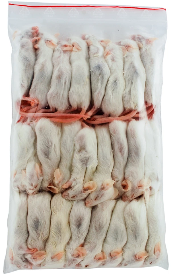 FROSTFUTTER Maus Springer 10-15g - Menge: 50 Stück