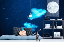 3D Jellyfish G2868 Wallpaper Wall Murals Removable Self-adhesive Honey