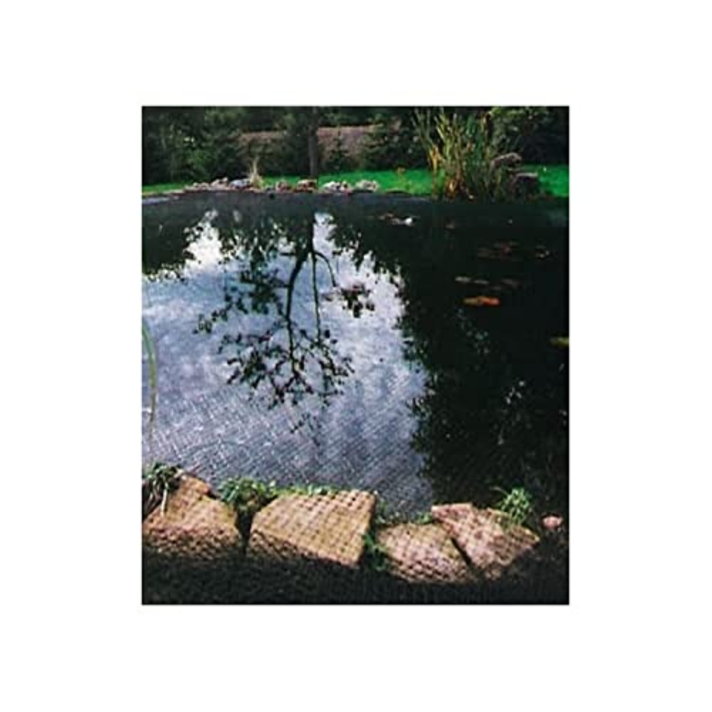 Siena Garden 543294 stagno in rete di 4 x 10 m 20 x 20 mm bande