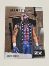 Dustin Rhodes 2022 Upper Deck Allure AEW Wrestling #63