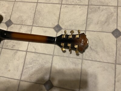 Ibanez Artcore Model AF95TDG-VLS-12-01 | eBay