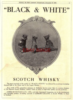 Reklame BUCHANAN'S Black & White Whisky 1923 Scottish Terrier Print Ad 725/13