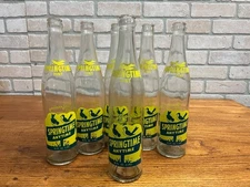 Vintage Springtime Soda Bottle 16oz Sheboygan Wisconsin Glass ACL Pint Wis WI