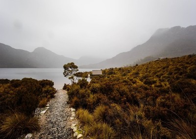 Serene Landschaft Wandkunst Die Ruhe der Natur Realismus Natur am Seeu