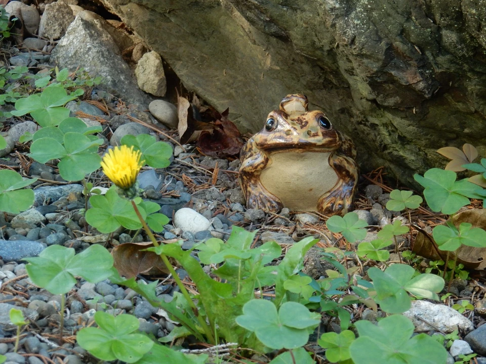 [ N MINT ] Nikon COOLPIX S9900 BK  Compact Digital Camera English OK  From JAPAN - Image 2 of 4