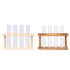 Glas Reagenzglas Anlage Terrarium Zylinder Klar Vase Vintage  Töpfe in Holz