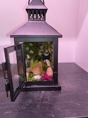 Emotional Healing - Crystal Garden