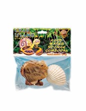T-Rex Hermit Crab Accessory - Food  Water Dish  Sponge Combo