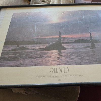 Autographed Signed Poster Free Willy By Bob Talbot | eBay