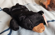 Ty Beanie Babies Blackie The Bear with Tags Mint Condition Retired
