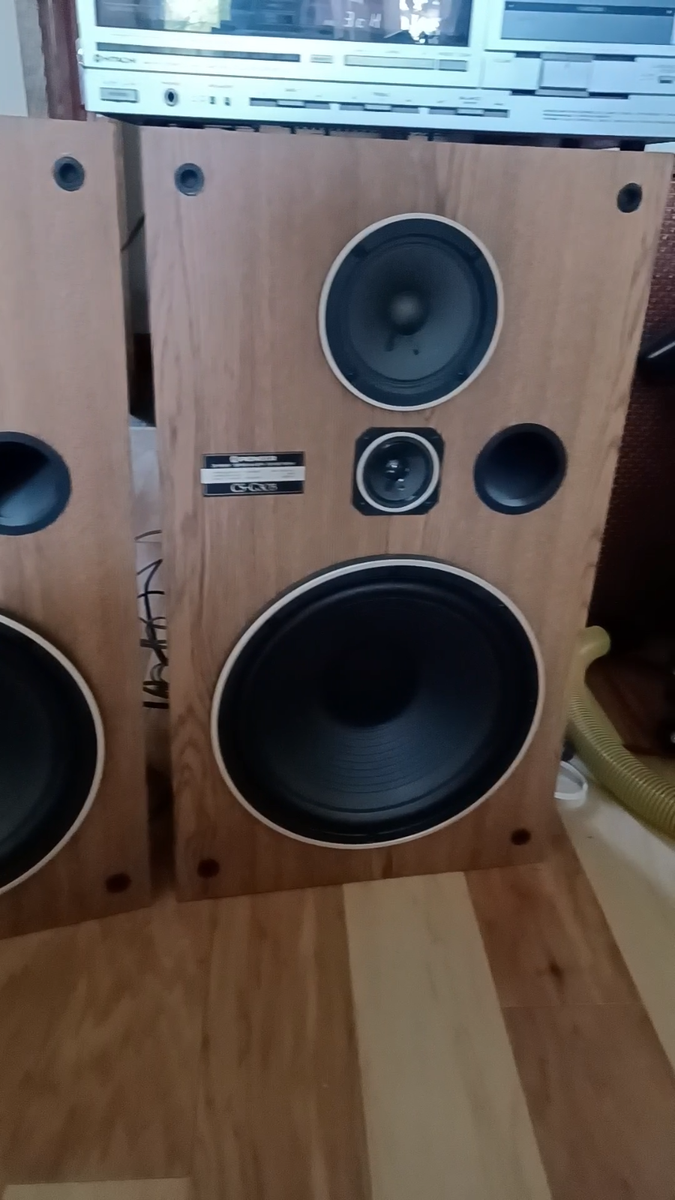 Pioneer CS-V30-LR CS-G303 公式通販 品 パイオニア スピーカーペア