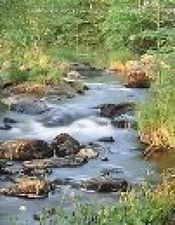 Environmental Science: Working with - Paperback, by Miller G. Tyler - Acceptable