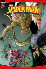Spider-man Comic Book Character Room Wall Decor - POSTER 20x30