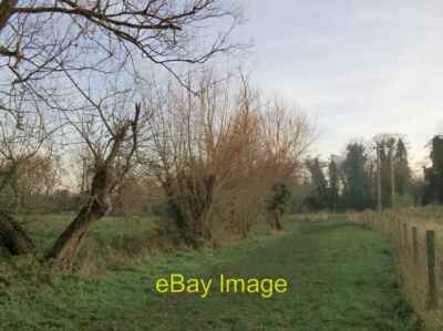 Foto 6x4 Pollard Weiden vom Fleet Ditch Cookham c2013