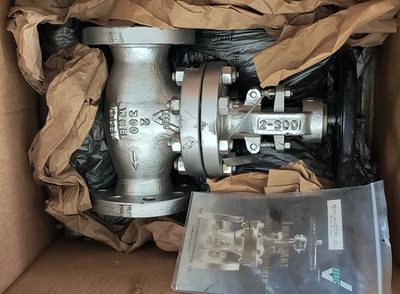 Beric 2'' Class 300 Globe Valve RF Flanged A216 WCB Trim 8 NOS 203-02-RF-EA08-H