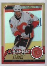 2008-09 O-Pee-Chee Rainbow Foil Adrian Aucoin #255 e6j