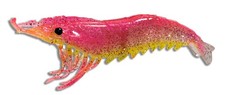 Artificial Soft Plastic Shrimp for Trout Redfish 4.25" Pack of 10 Pink/Yellow
