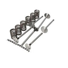 Valve Train Kit fits Ford 2110 2600 3000 3600 4110 4600 4610 2000 4000 81818709