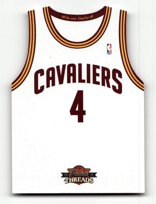 2010-11 Panini Threads Antawn Jamison Team Threads Home #8