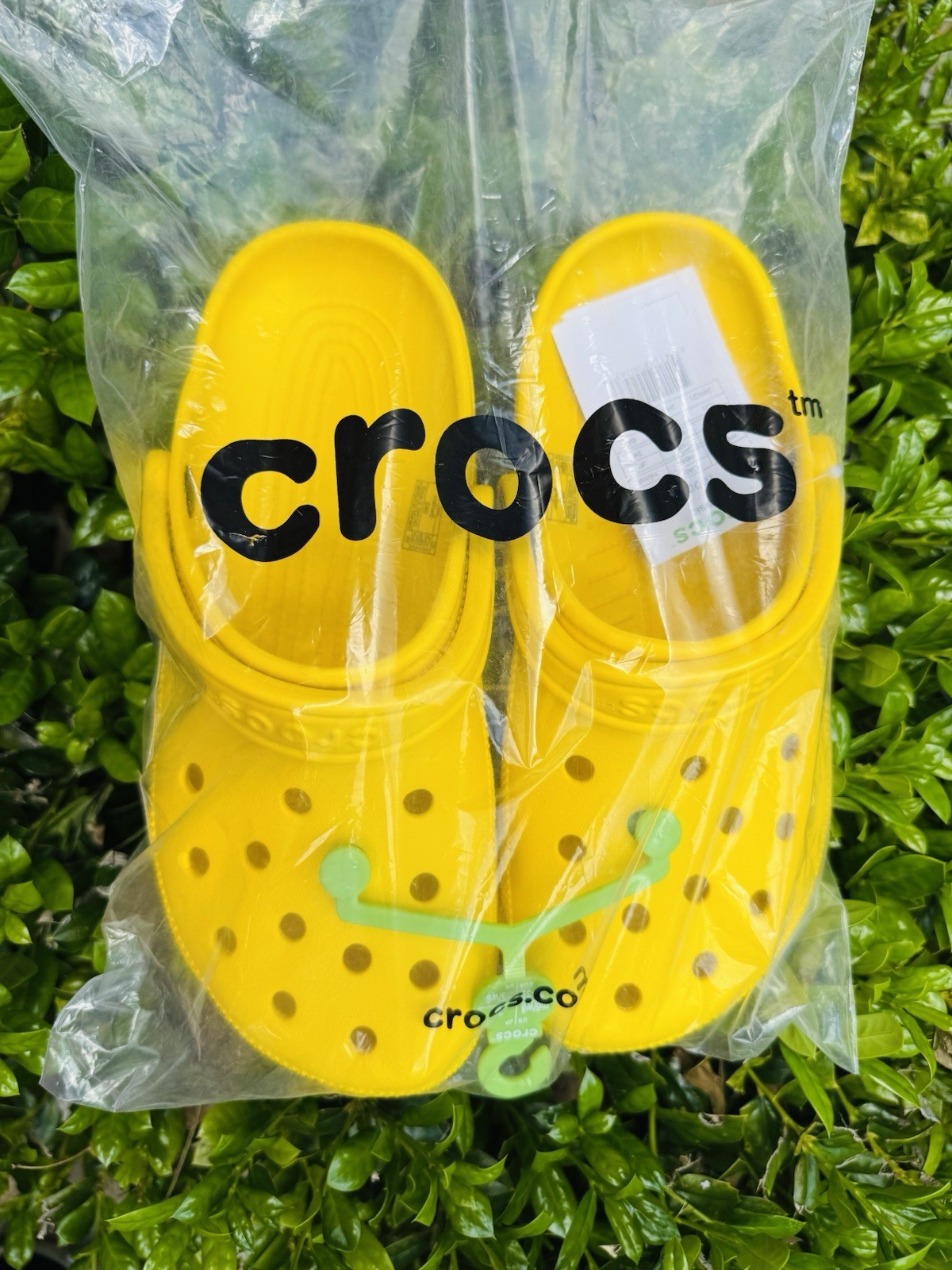 🐊 Original Crocs Classic - Color Yellow 10 Mens 12 Womens  Fast Shipping New.