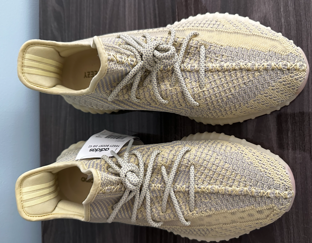 Size 10.5 - adidas Yeezy Boost 350 V2 Antlia Non-Reflective