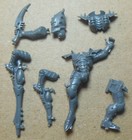 Drukhari Aeldari Dark Eldar Ynnari  - Raider Crew (e) Bits Bitz Kitbash 40K