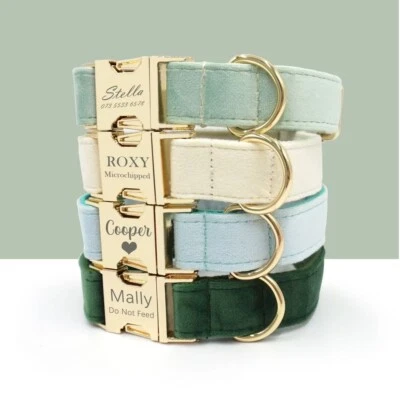 DO&G Personalized velvat dog collar Custom Pet Name Engraving puppy collar with name