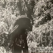 Moor Mother - Analog Fluids Of Sonic Black Holes (LP, Album, Ltd, Gre) 2019 (NM 